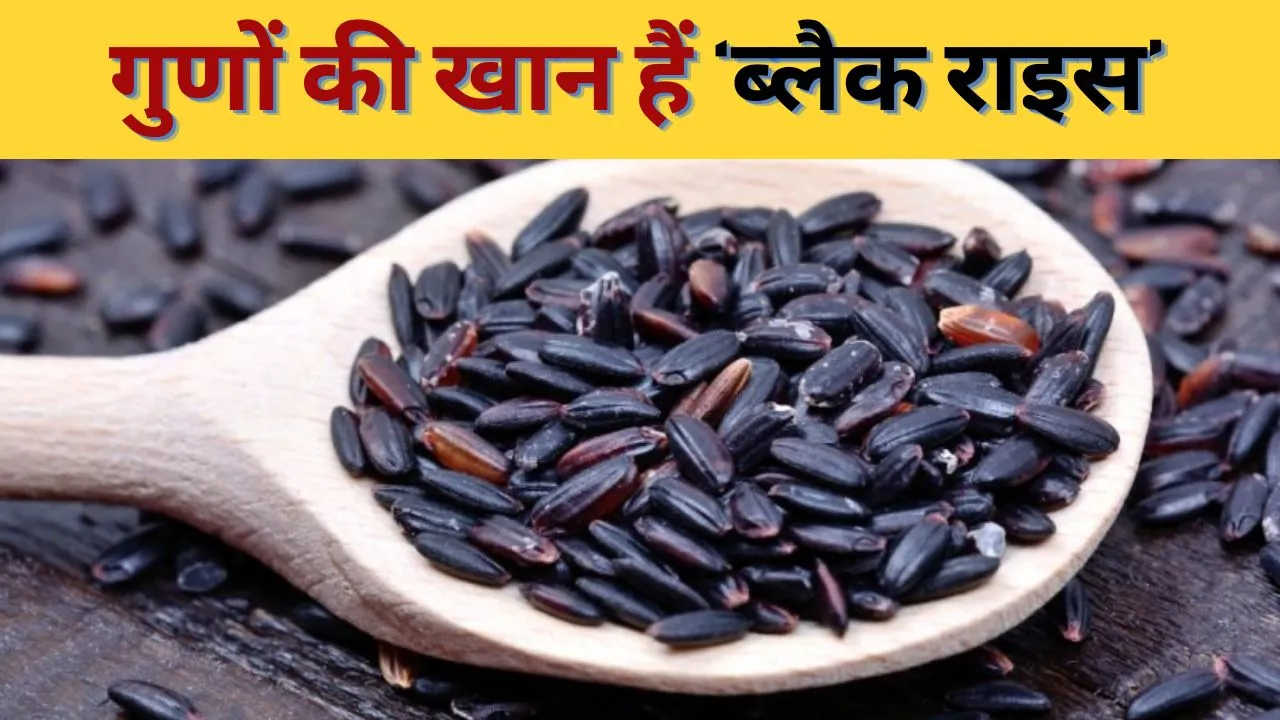 Black Rice Benefits