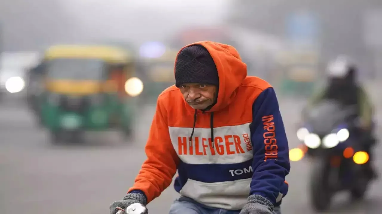 delhi weather