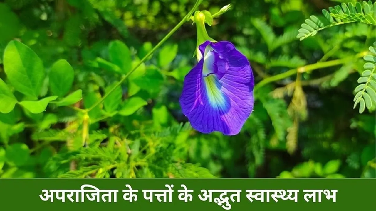 aprajita