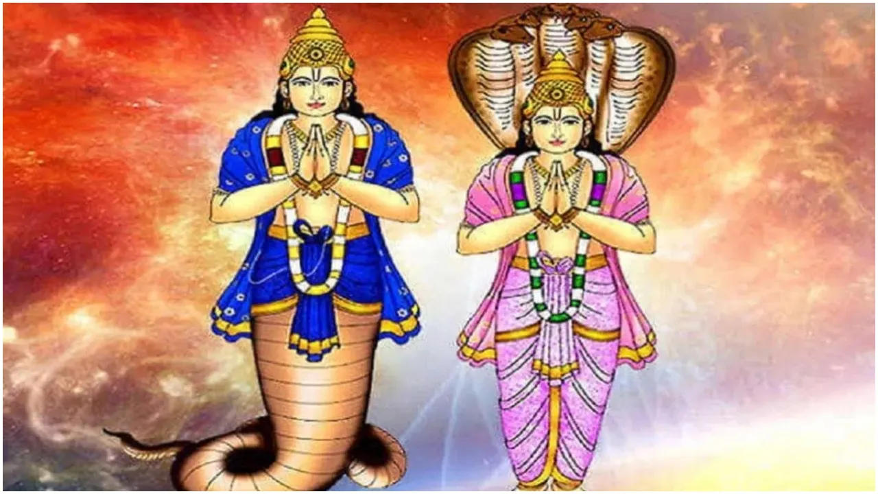 Vastu Tips For Rahu Ketu