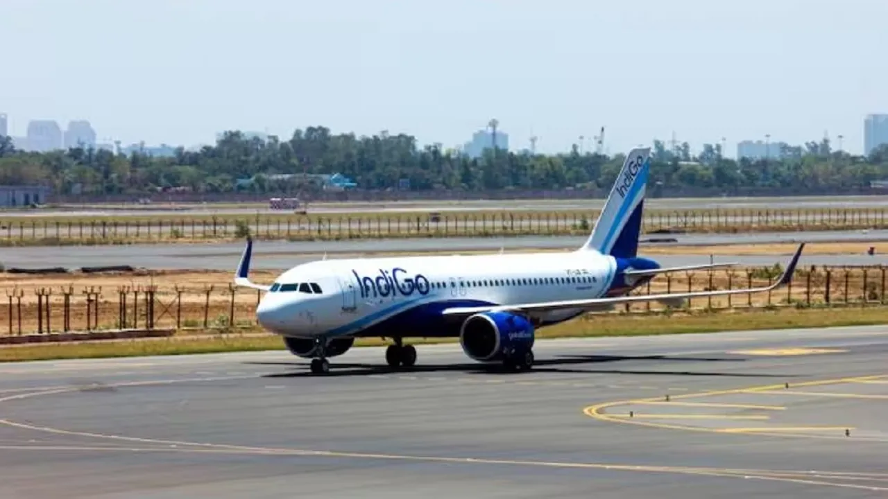indigo flight
