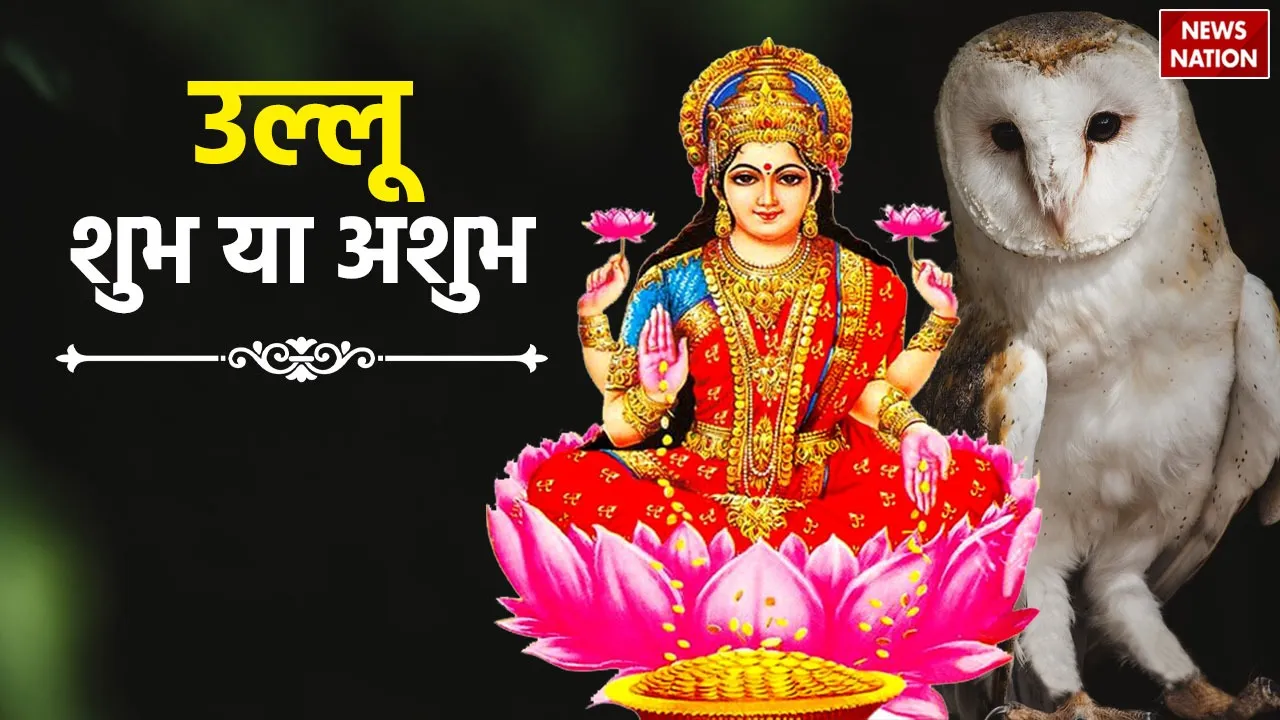 Maa Lakshmi  2