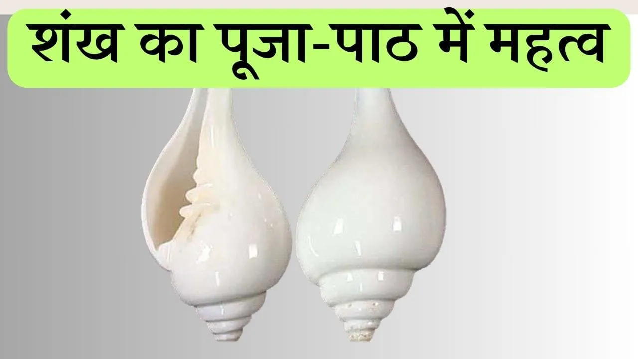 Significance Of Shankh