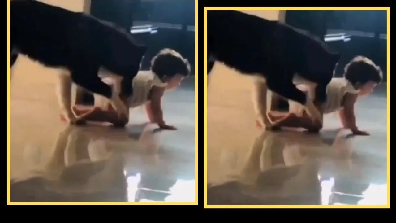 viral video