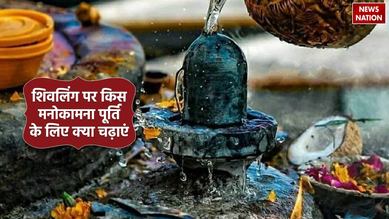 Mahashivratri 2024 know what to offer on Shivalinga to fulfill your wishes