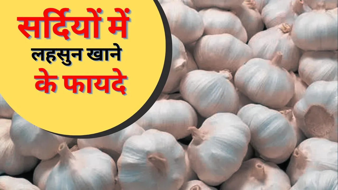 Garlic Benefits