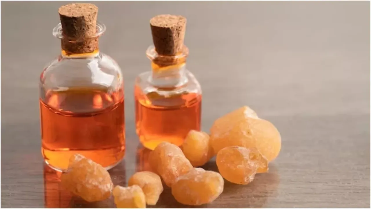 What is Loban Oil  Know the benefits of its oil