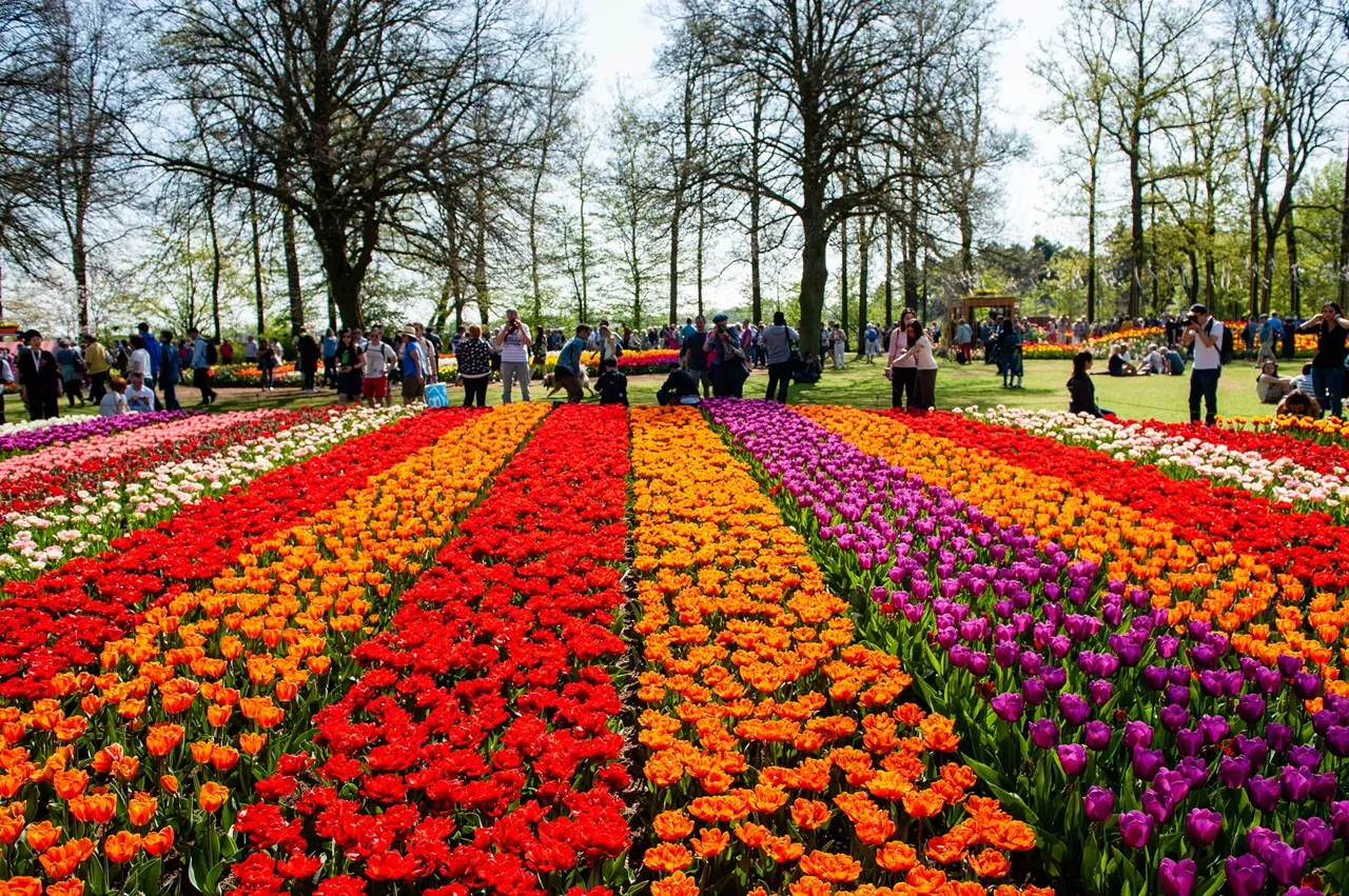Which are the best places to visit in India in spring