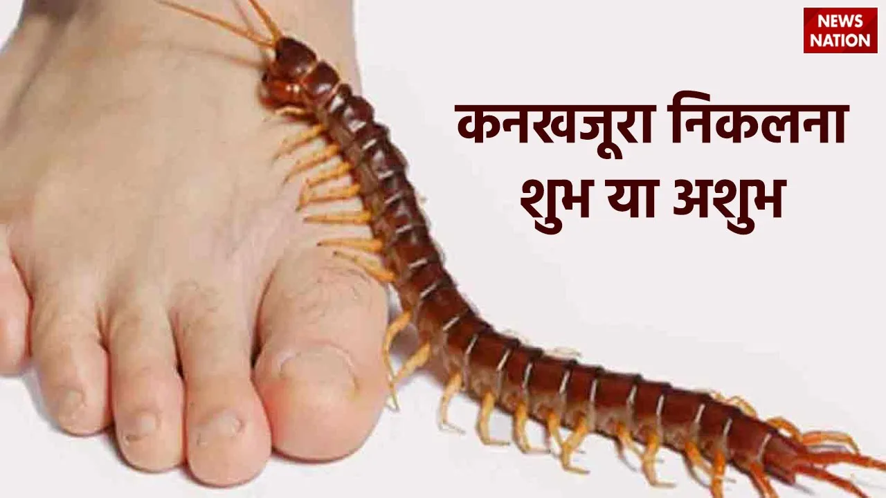 Know if centipede coming into the house is auspicious or inauspicious