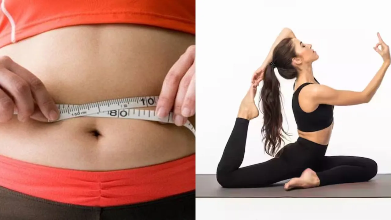 Belly Fat Reduce