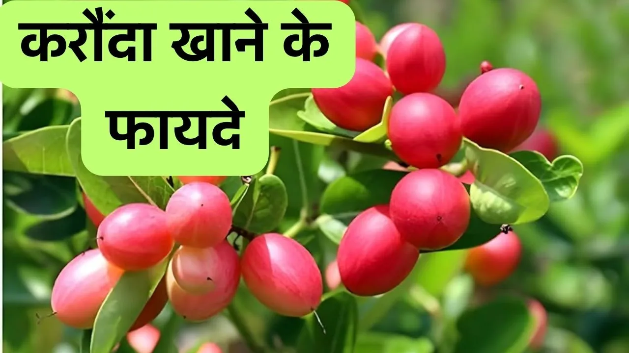 Benefits Of Karonda