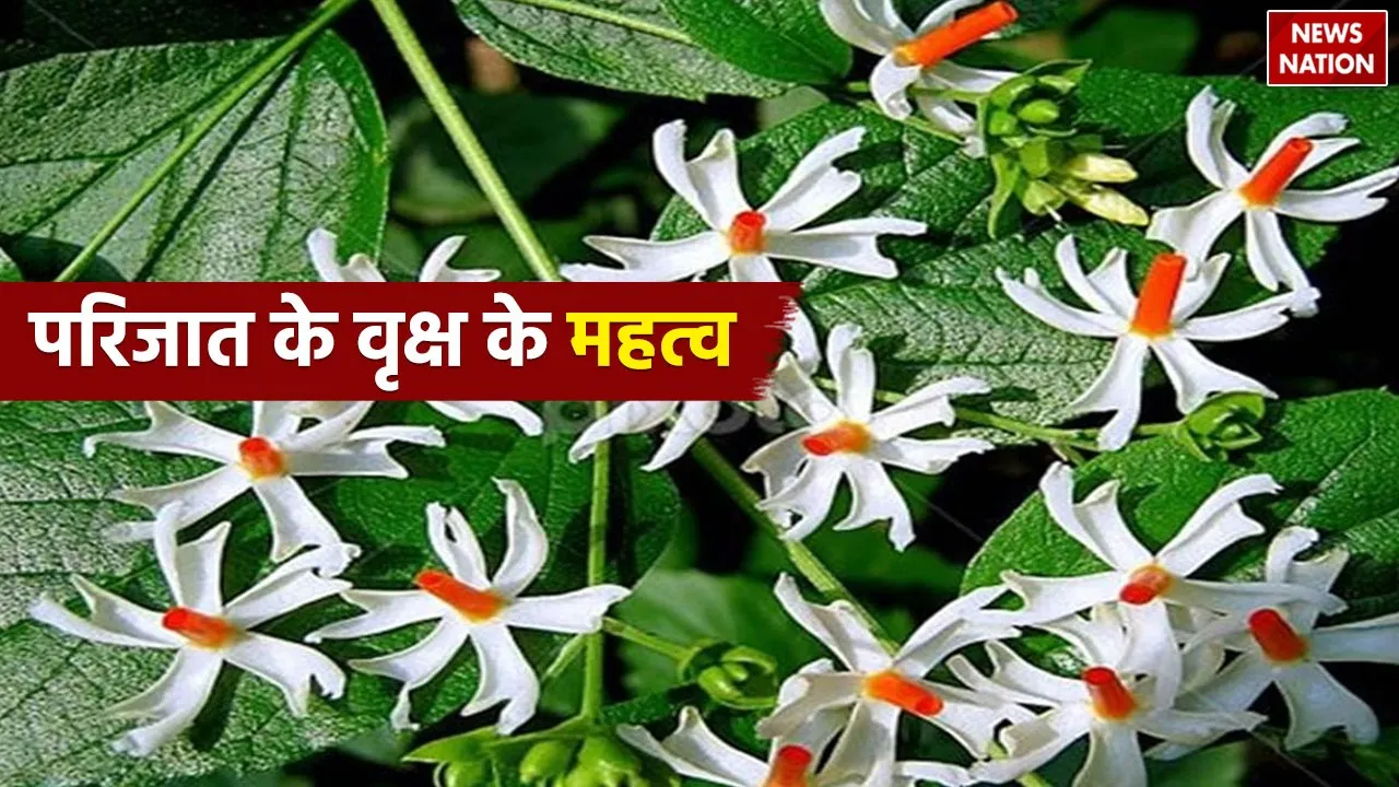 Parijat Significance