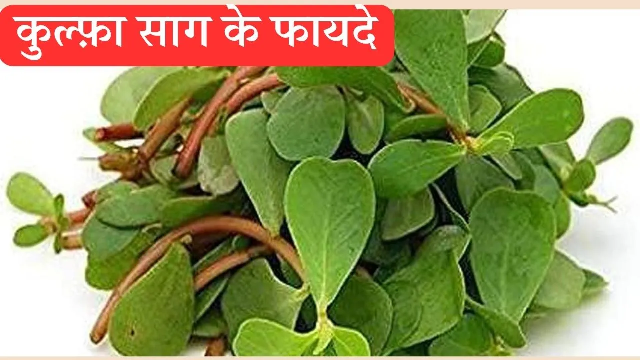 Kulfa Saag Benefits