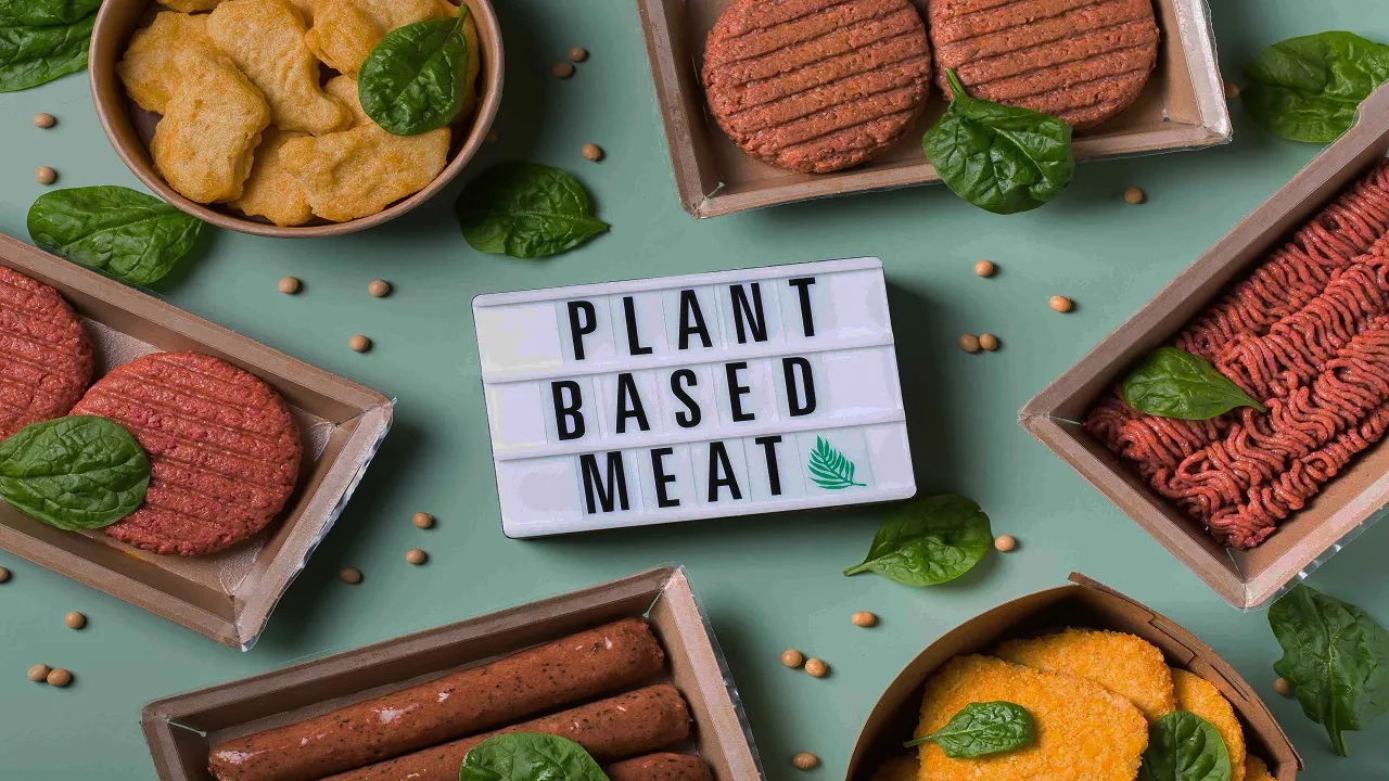 Plant Based Meat
