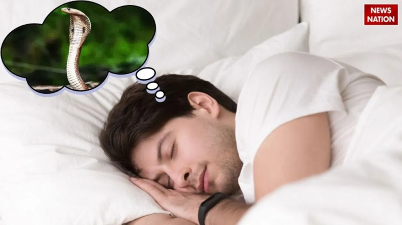 Snake in Dream meaning astrology seeing snaap everytime  2