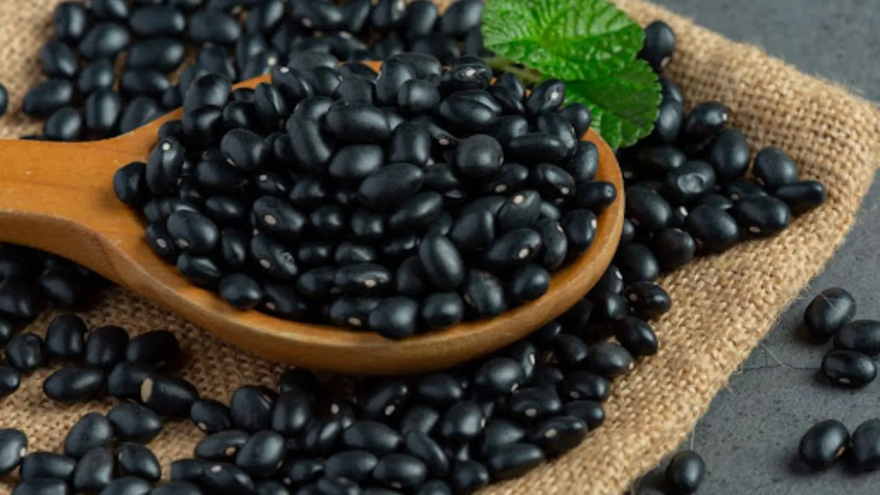 Black Soybean