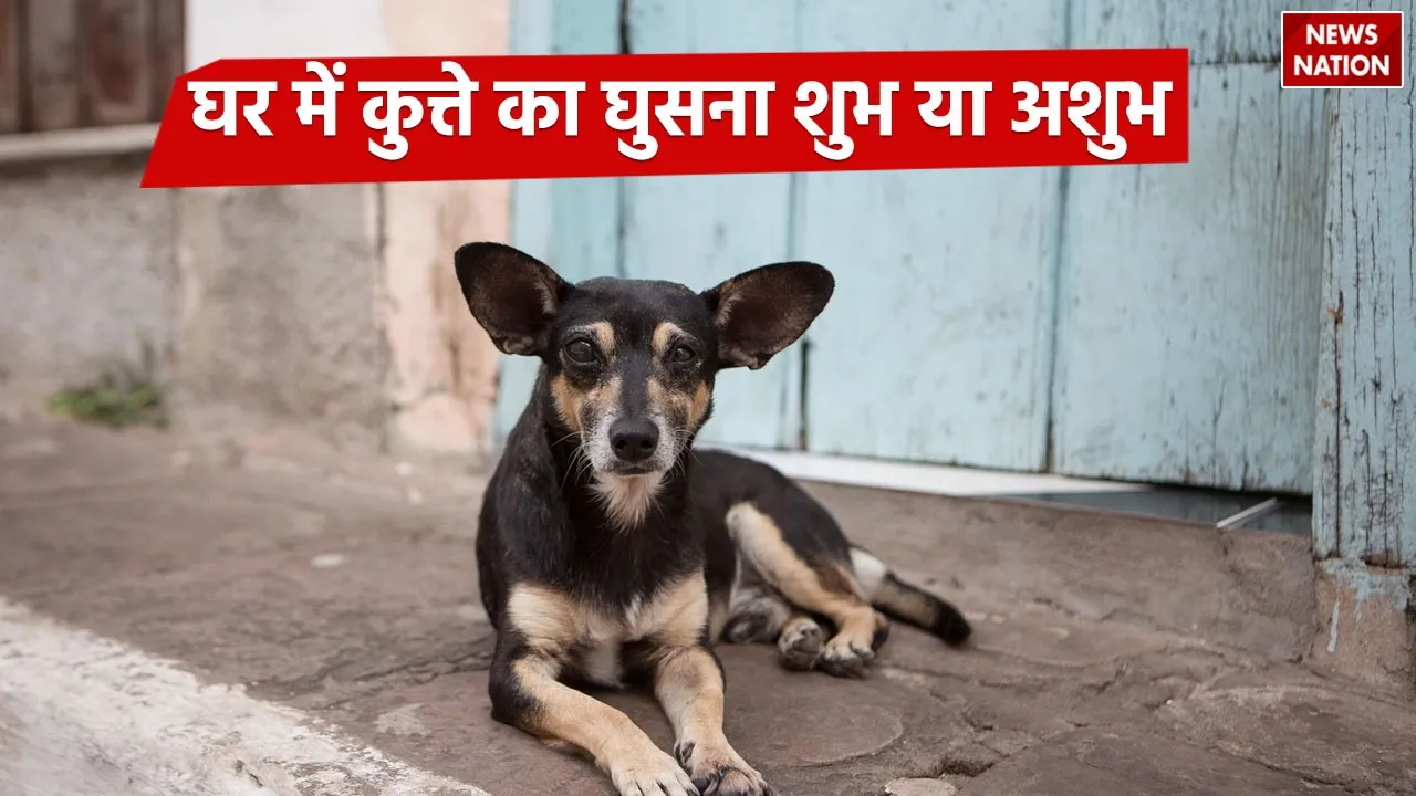 Shakun Apshakun arrival of a dog in house is auspicious or inauspicious