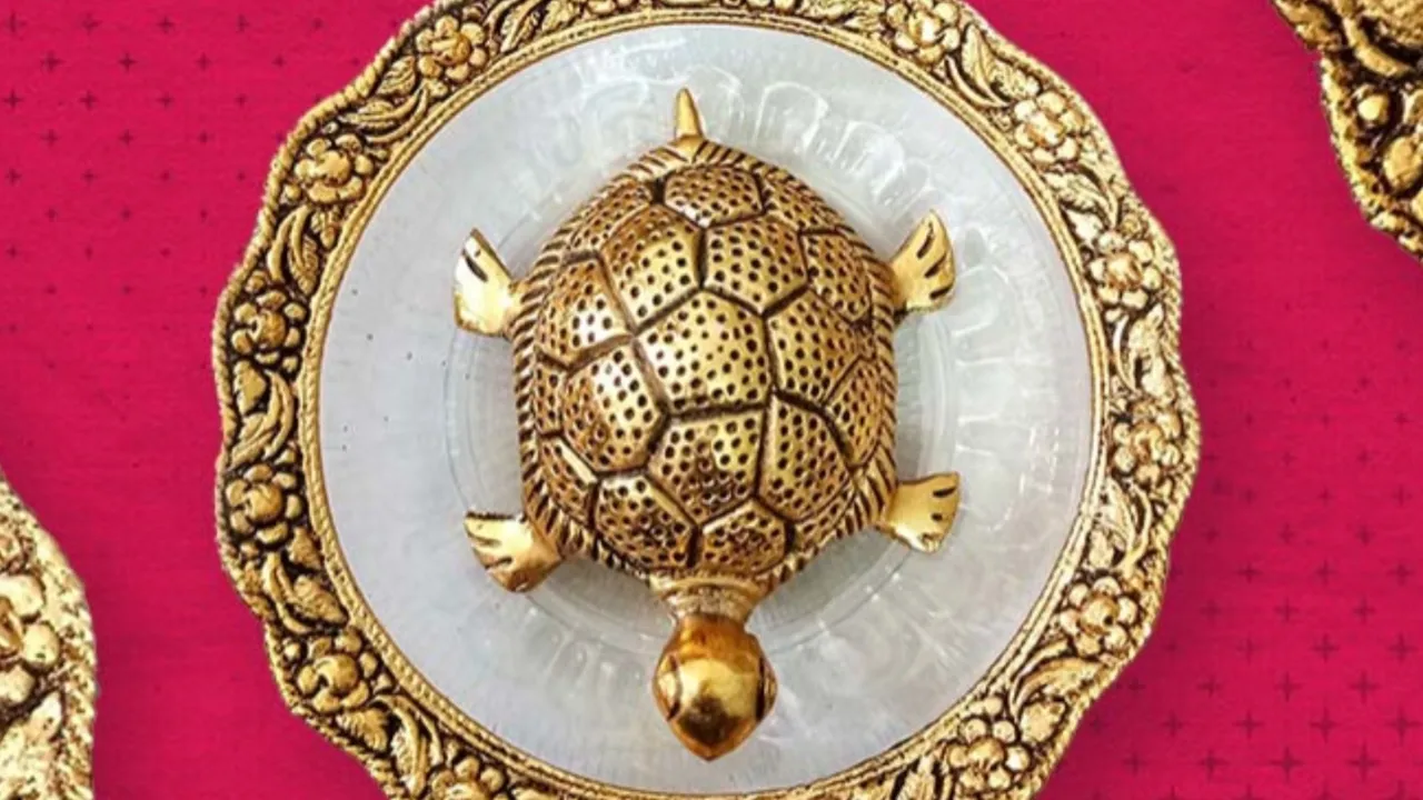 Feng Shui for Tortoise