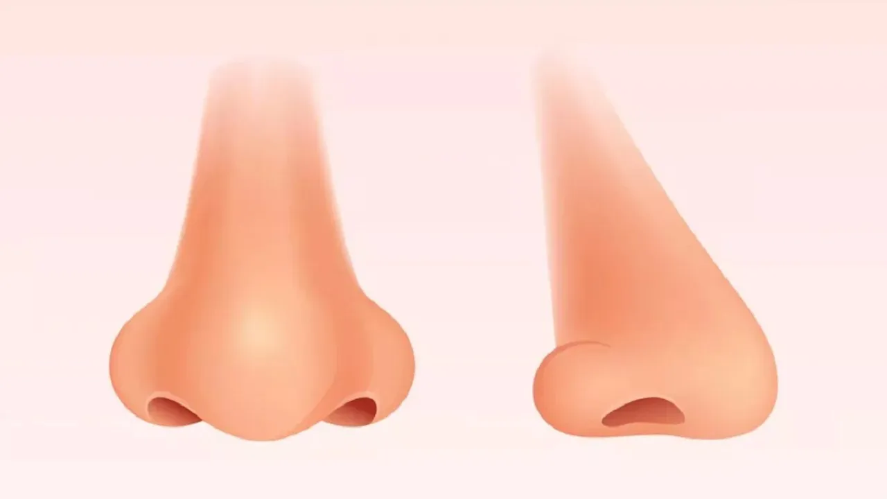 Secrets Of Nose