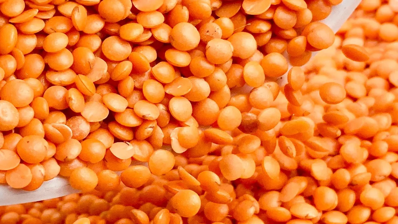 masoor dal