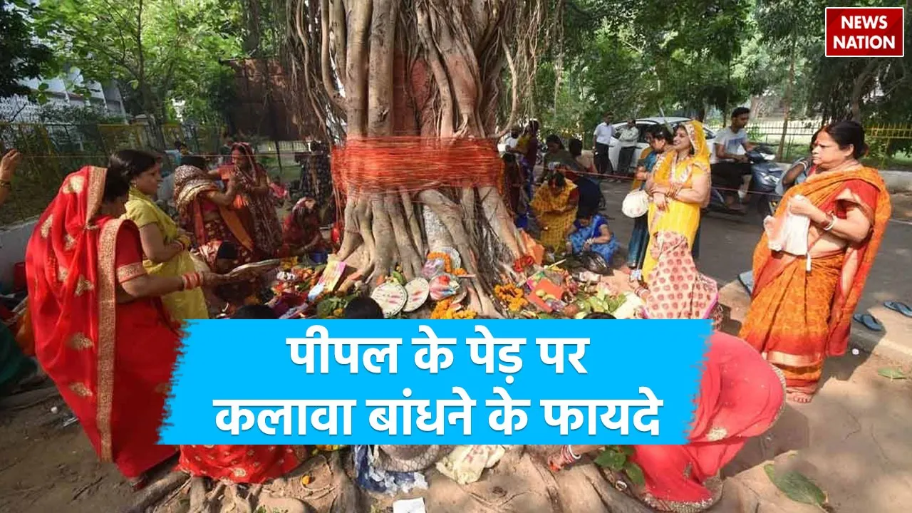 Tie Kalava to Peepal Tree: सेहत के साथ समृद्धि भी देता है नीम का पेड़ ...
