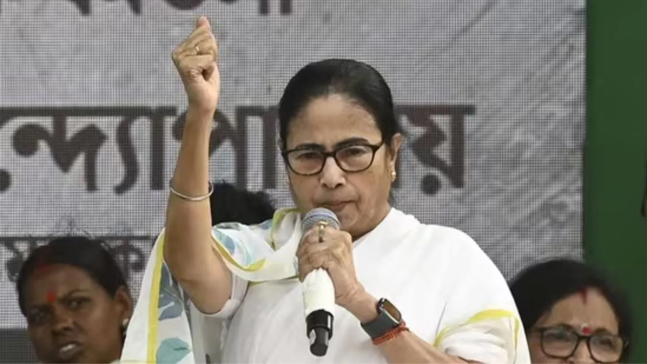 mamta