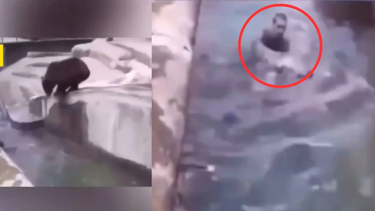 viral video