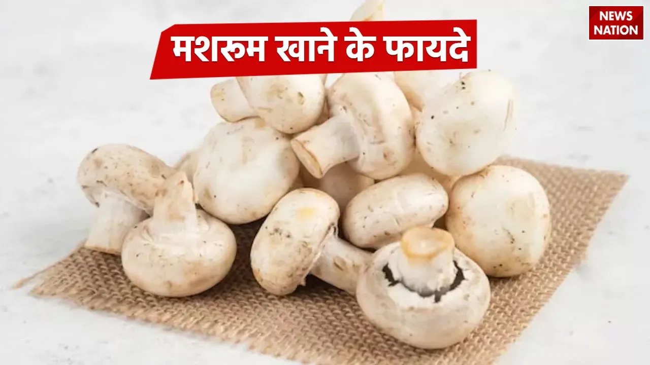 Mushroom Benefits