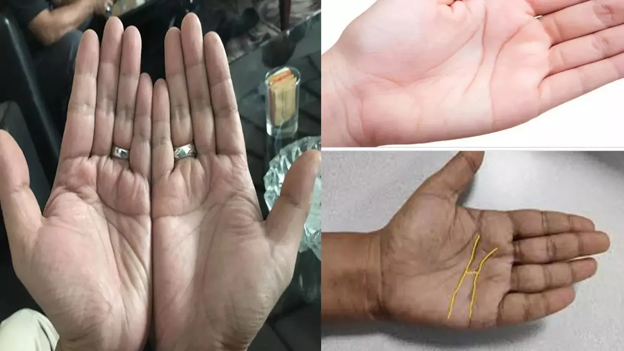 Palmistry