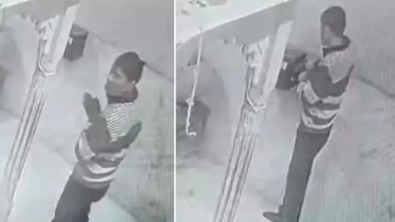 viral video