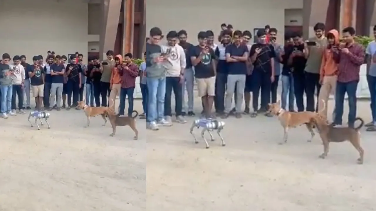 robo dog