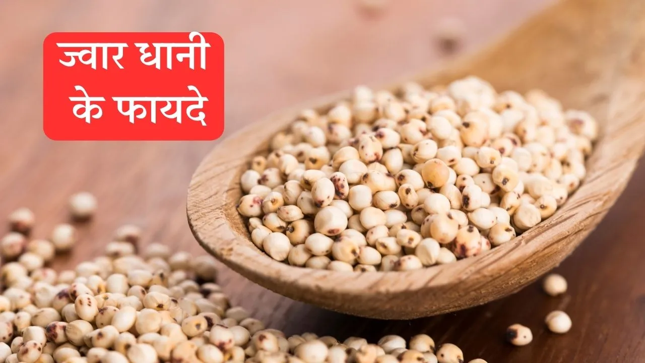 Jowar Dhani Benefits