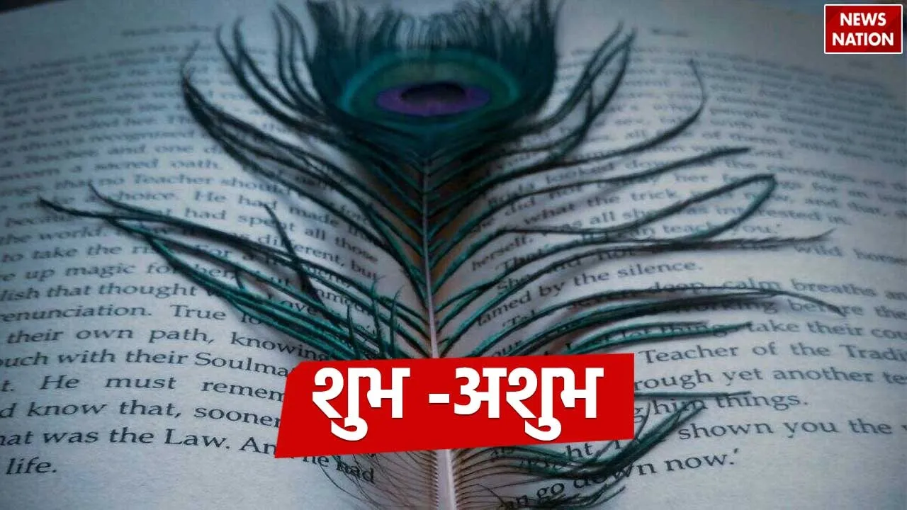 Mor Pankh In Book