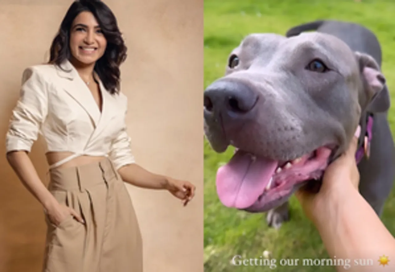 hindi-amantha-ruth-prabhu-join-her-furry-friend-to-get-ome-morning-un--20240401100905-20240401105856