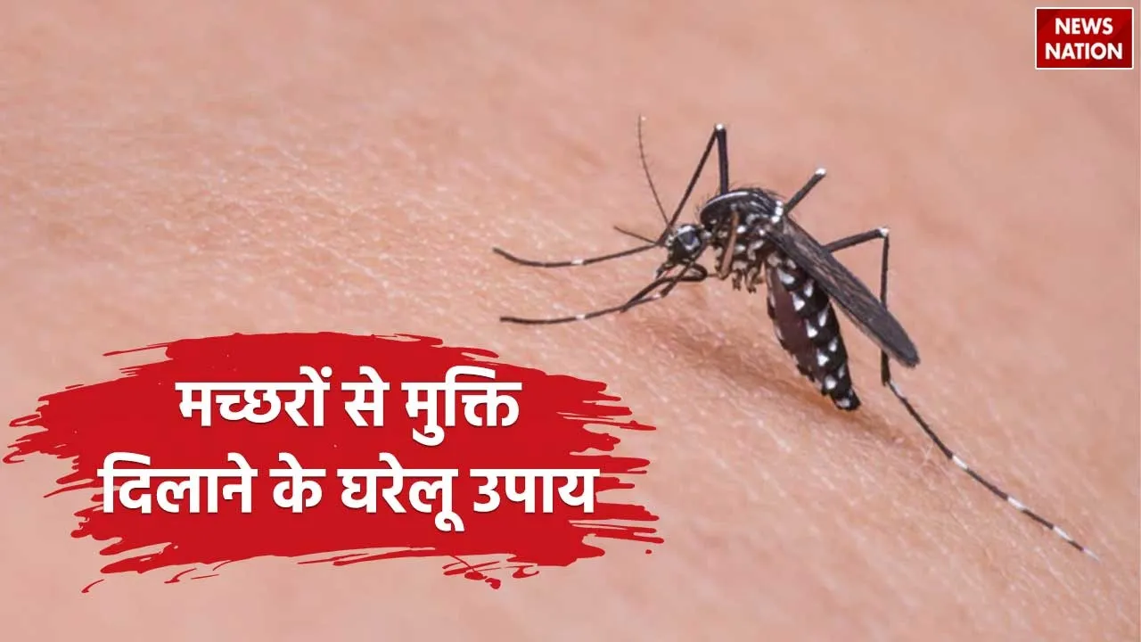 Mosquito Home Remedies