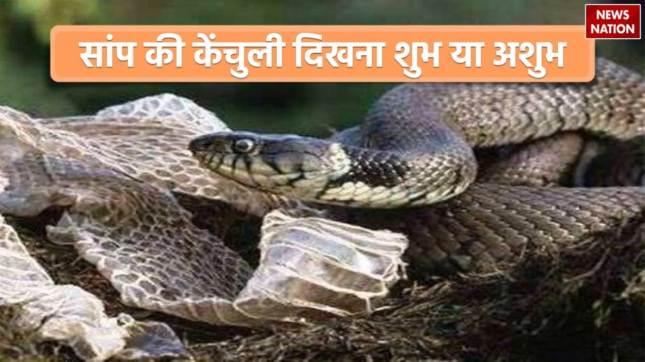 Saanp ki kenchuli shubh ya ashubh