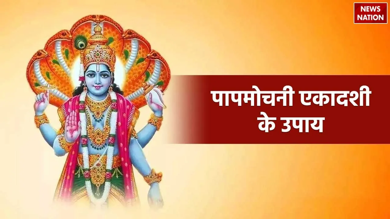 Papmochani Ekadashi Upay