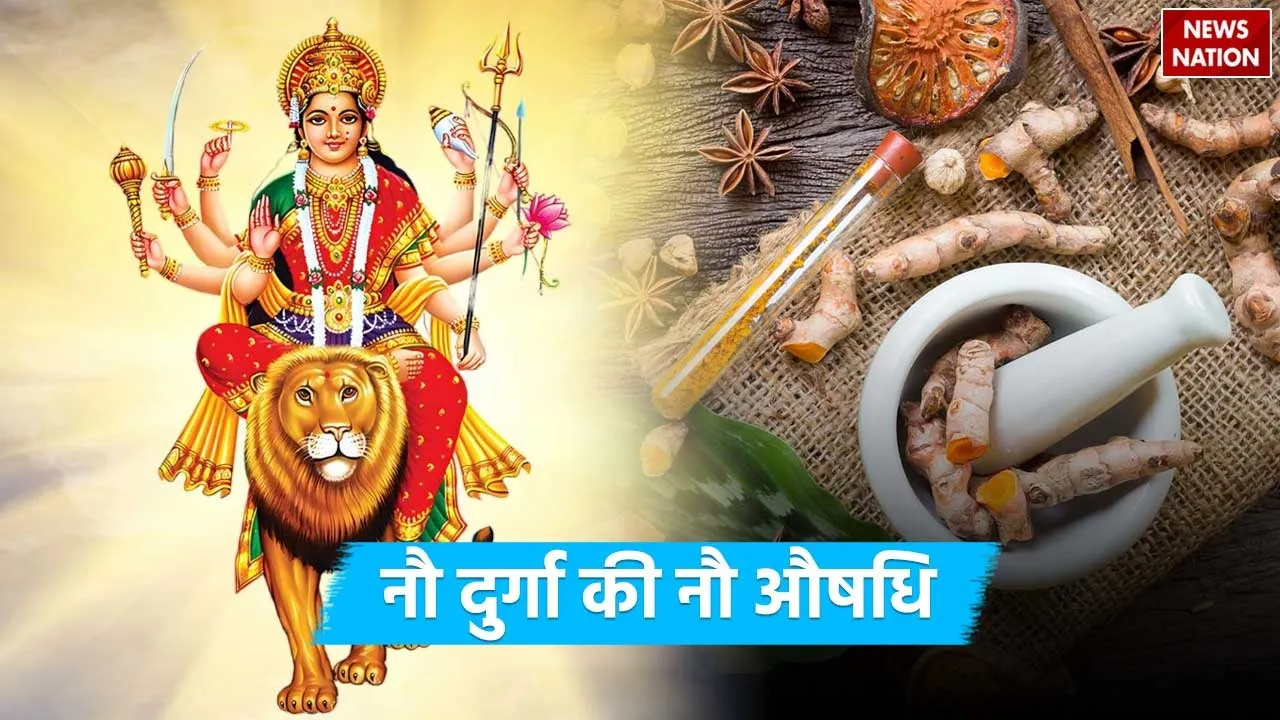 9 medicine related to maa durga
