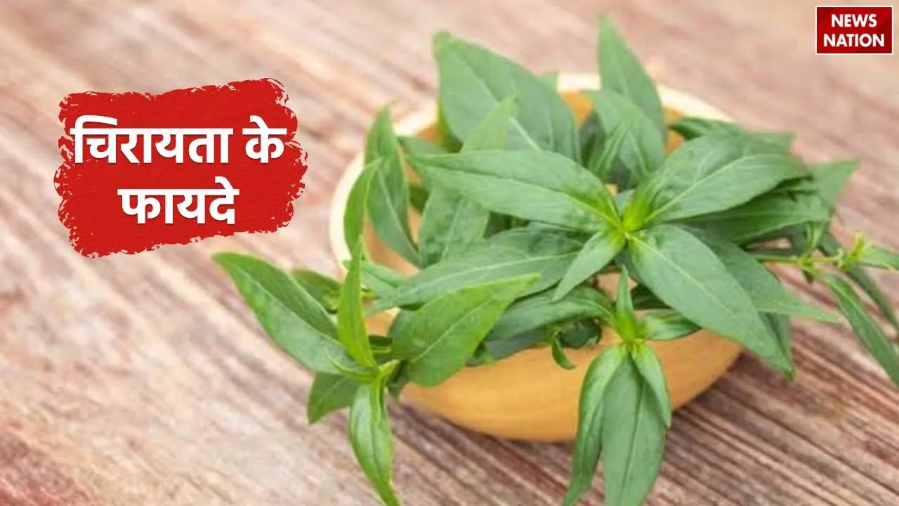 Chirata Plant Benefits