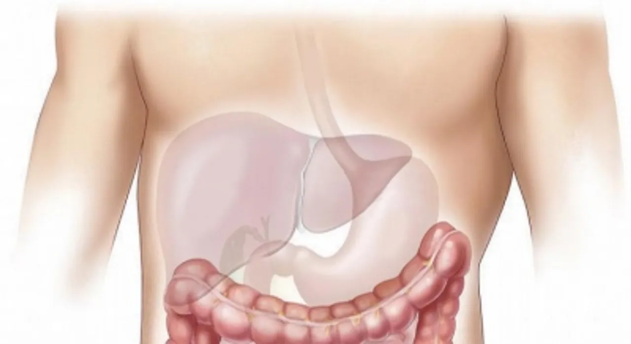 hindi-liver-dieae-in-kid-up-due-to-junk-food-ugar-conumption--20240419142105-20240419155036