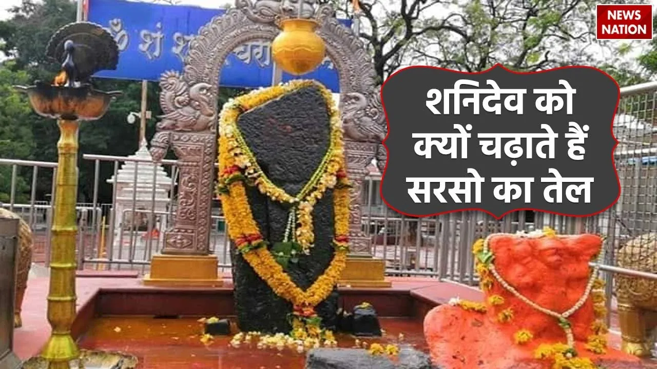 Why is mustard oil offered to Shani Dev