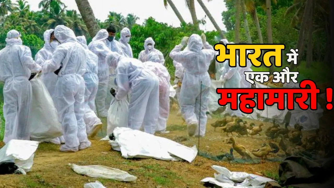 Kerala Bird Flu