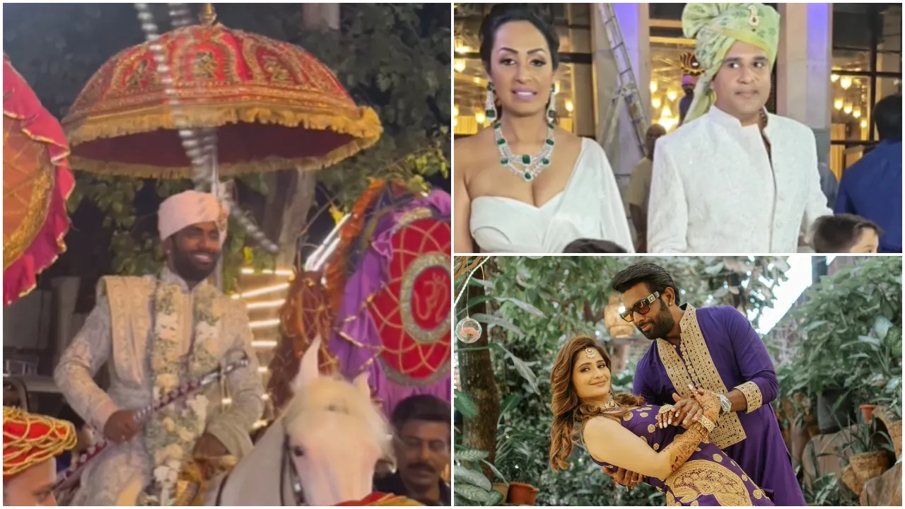 Arti Singh Wedding