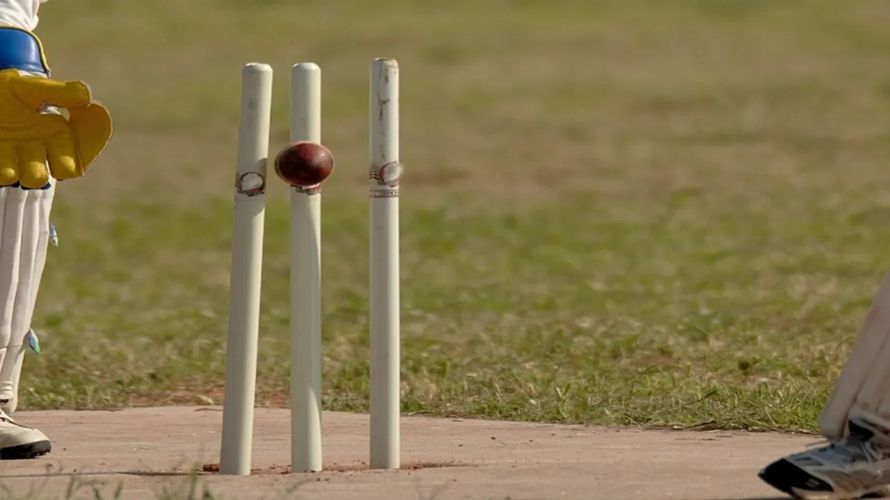Ducks In Cricket