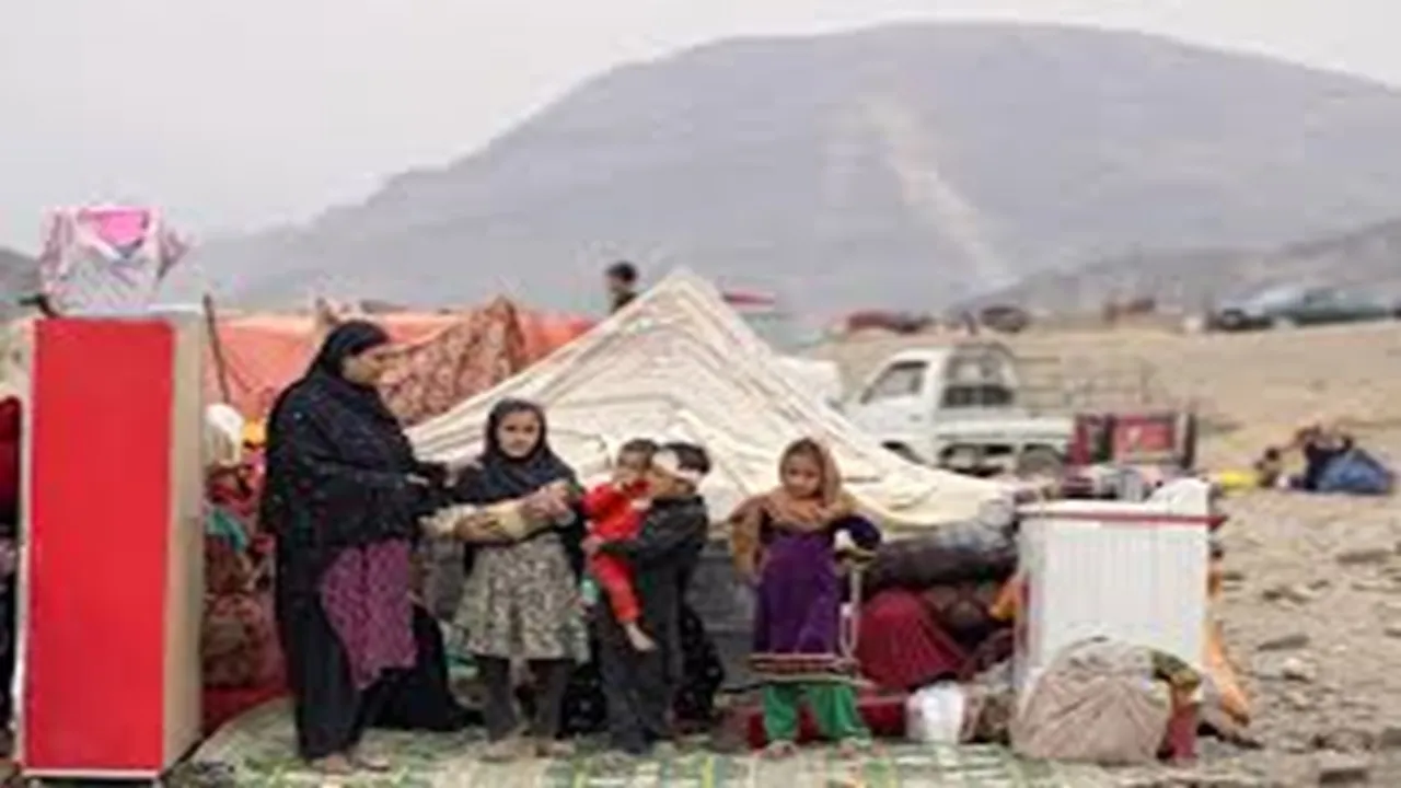 afghans