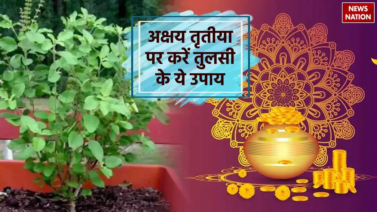 Akshaya Tritiya 2024 Tulsi Ke Upay