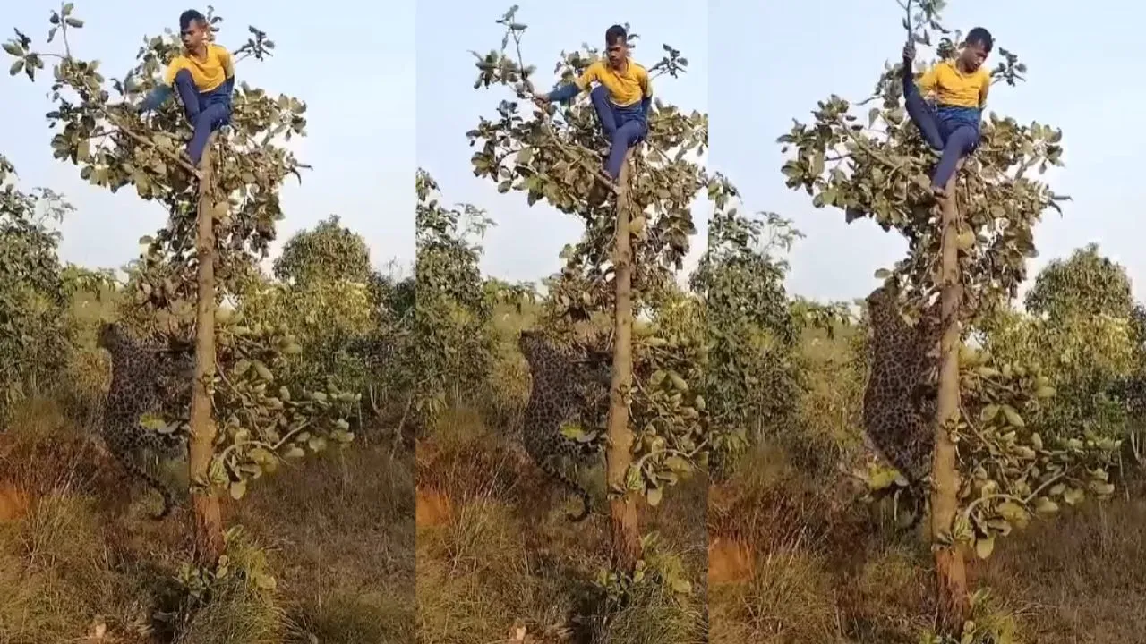 viral video
