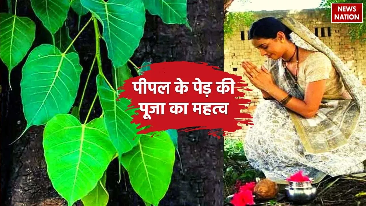 importance of worship peepal tree on mohini ekadashi