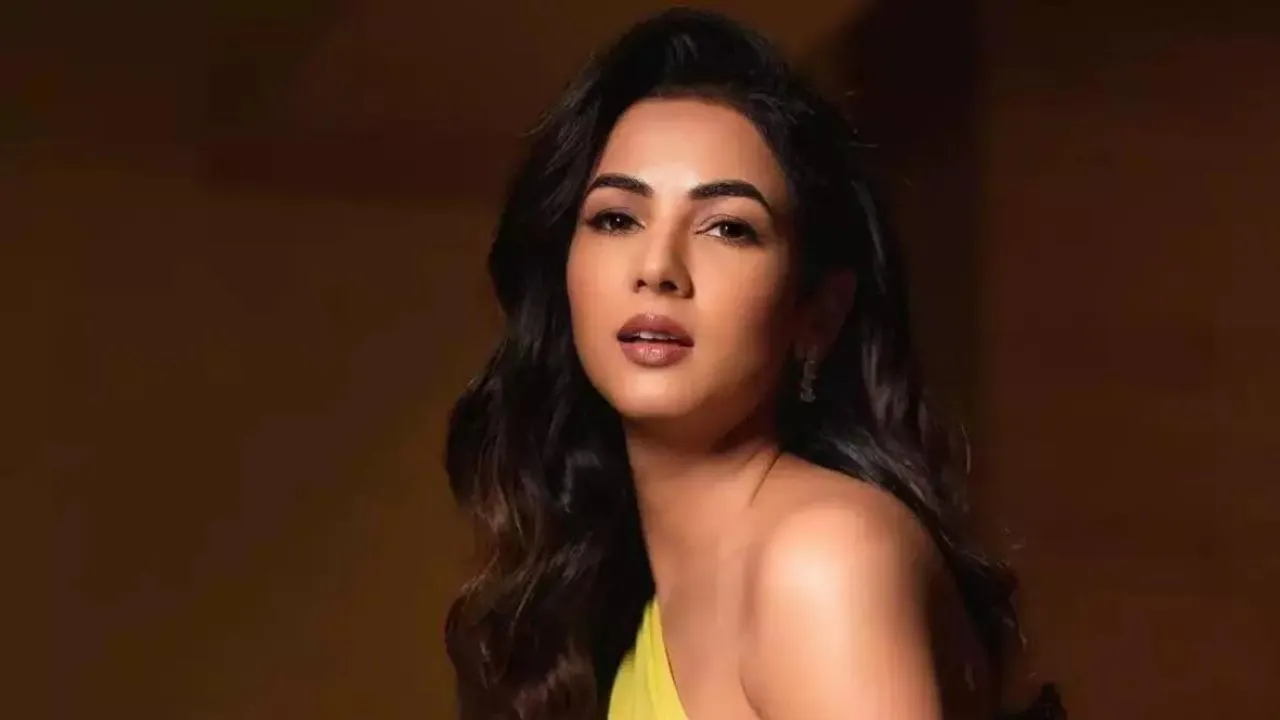 Sonal Chauhan Birthday