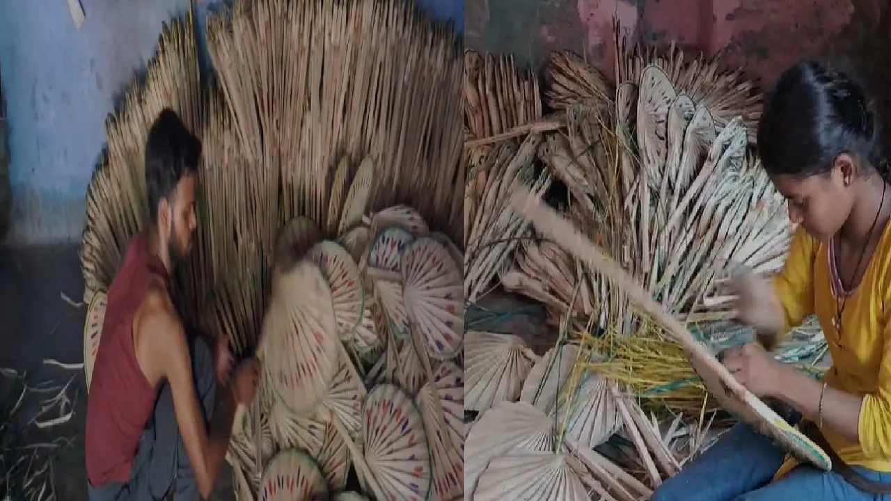 gaya fan